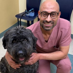 Dr. Abdou, veterinarian at Ottawa Barrhaven Animal Hospital in Barrhaven