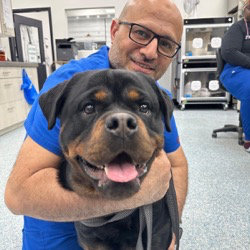 Dr. Mohamed Nasr, veterinarian at Ottawa Barrhaven Animal Hospital